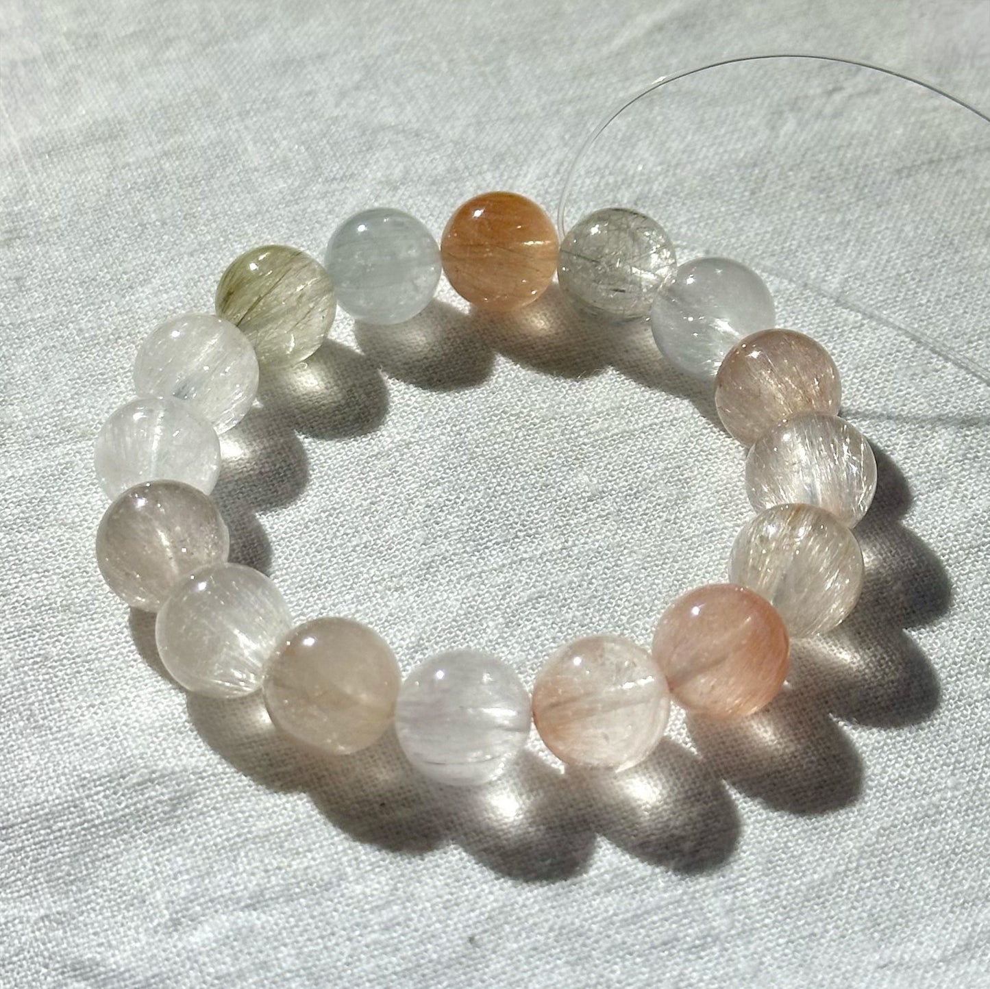 春日遐想Spring Reverie