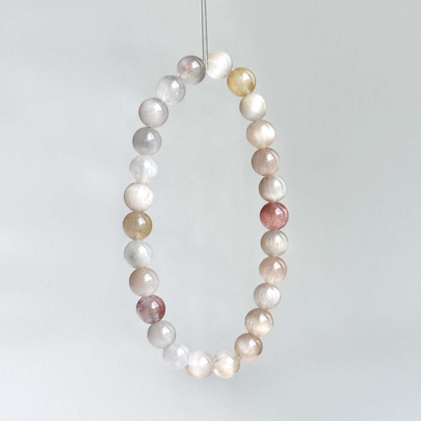 桂花载月Moonlit Osmanthus